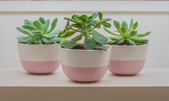 Pot de fleur en céramique,rose et blanc 